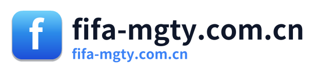 fifa-mgty.com.cn
